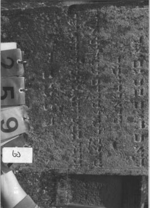 Grabstein 259 (Index: 100009241) Zustand: leicht verwittert Maße HxBxT: 102x48x23 cm: Grabstein 259B (Nachholaufnahme)
