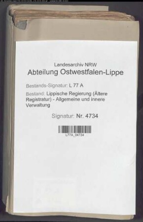 Arbeiter im Ausland (Auswanderung auf Arbeit im Ausland), Bd. 2