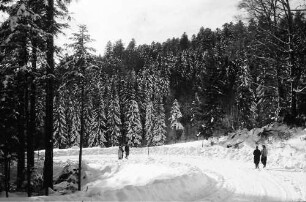 St. Peter; Sägendobel: Neue Kandelstraße; Kurve im verschneiten Wald; mit Personen