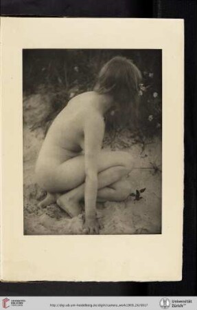 [Alice Boughton, III. Sand and Wild Roses, photogravure]