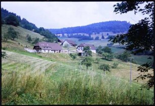 Pfaffenberg: Berghöfe am Zeller Blauen, Käsern