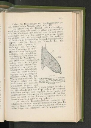 Abb. 139.