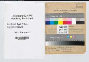 Entnazifizierung Hermann Horn , geb. 21.03.1903 (Verw.Inspektor)