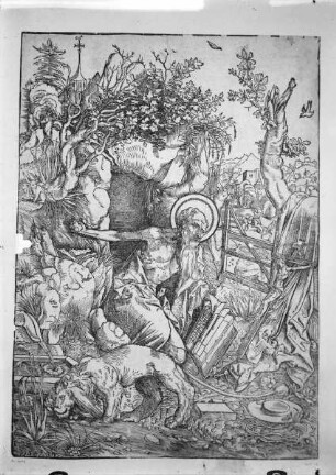 Der Heilige Hieronymus