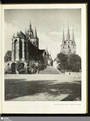 Dom (Bauzeit des Chores: etwa 1330 bis 1370)