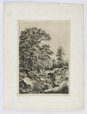 Eiche der Godard-Mühle
