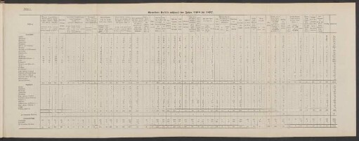 Anlage 8. Gemeldete Unfälle während der Jahre 1888 bis 1897.