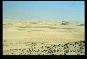 Abu Muharik