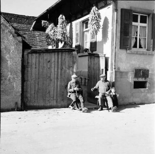 Ihringen: Zwei alte Männer, unter Maiskolben