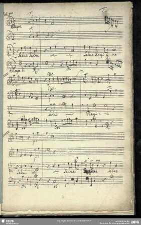 Salve regina