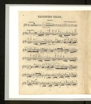 Violon