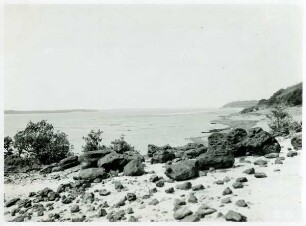Blick vom Strand von Mapire den Orinoco aufwärts