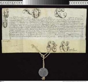 Papst Pius VI. ernennt Michael Franz Karpowitz zu Bischof von [Wigry] ("Wigercensis ecclesia"). Anno Incarnationis Dominice Millesimo septingentesimo nonagesimo nono quinto kalendas Aprilis;. prope Florentiam. Bleibulle an Hanfschnur