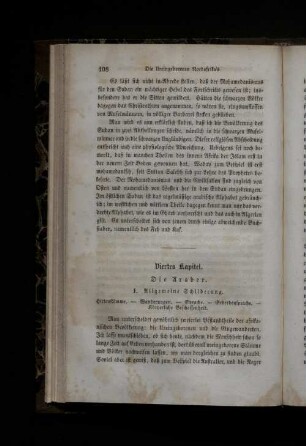 Viertes Kapitel. Die Araber.