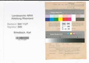 Entnazifizierung Karl Birkelbach , geb. 13.04.1909 (Rechtsanwalt)