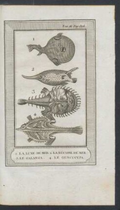 Tafel: 1. La lune de mer. 2. La bécasse de mer 3. Le galanga. 4. Le guacucuja.