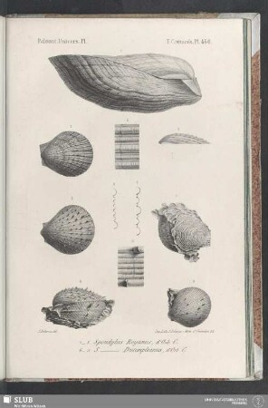 Pl. 460
