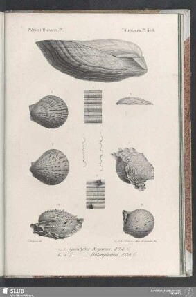 Pl. 460