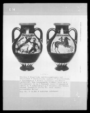 Chalkidische Amphora — Bild