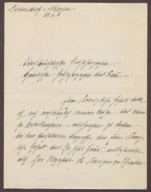 Schreiben von Elisabeth Dryander an die Großherzogin Luise; Genesungswünsche an die Großherzogin und Reflexionen zum Kriegsgeschehen