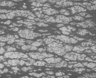 Stark bituminöse Kohle (Jeffrey) : Geologie | Kohlengeologie | Das mikroskopische Bild der Kohle (Mikroskopische Kohlenpetrographie)