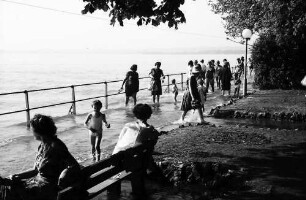 Bregenz: Überschwemmter Landungssteg
