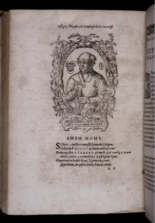 Porträt des Paracelsus (Holzschnitt)