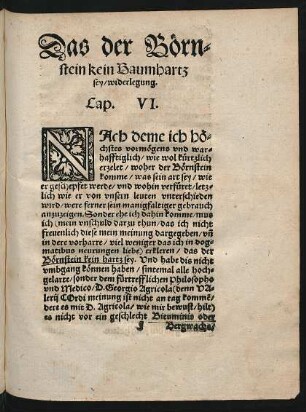 Das der Börnstein kein Baumhartz sey/ widerlegung. Cap. VI.