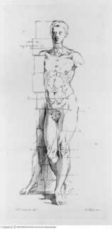 Raccolta di disegni originali di Fra.co Mazzola detto il Parmigianino tolti dal gabinetto di Sua Eccellenza il Sig.re Conte Alessandro Sanvitale, (Tav. 12) Studie eines männlichen Aktes mit Messungen