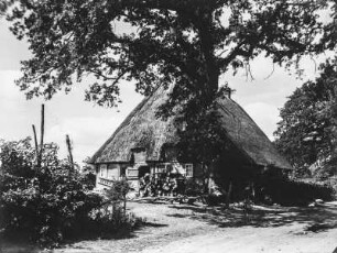 Haus : Haus mit Reetdach in der Landschaft Dänischer Wohld bei Noer