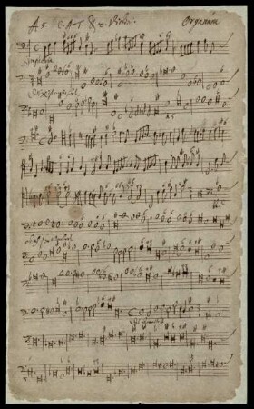 Organum (2).