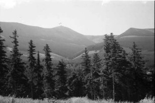 Obersteinseifen: Schneekoppe vom Obersteinseifen
