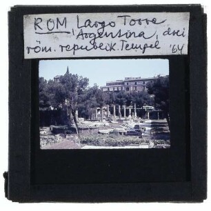 Rom, Largo di Torre Argentina