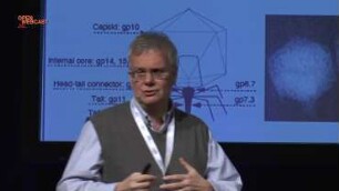 Closing lecture with David Nelson: Gene surfing and migrations in structured environments