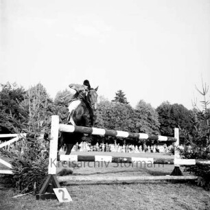 Kreispferdesportverband Stormarn e.V.: Exer: 10. Kreispferdeleistungsschau: Sönke Hansen beim Springreiten