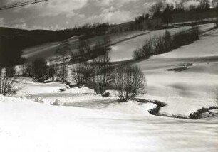 Osterzgebirge. Verschneiter Hang an der Straße Schmiedeberg - Frauenstein (Ochsenbachtal)