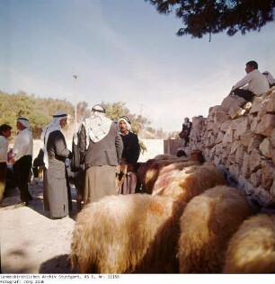 Israel: Am Löwentor
