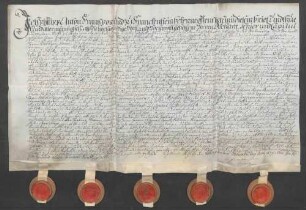 Instrumentum cautionis des Johann Philipp Anton Franz von Franckenstein.