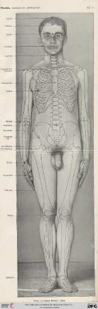Tafel I-III