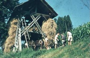 Fotografie: Lagertechnik, Lagerung, Futtermittel, Trocknungstechnik, Heu