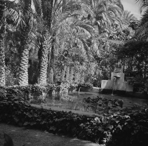Huerto del Cura