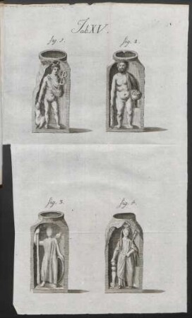 Tab. XV.