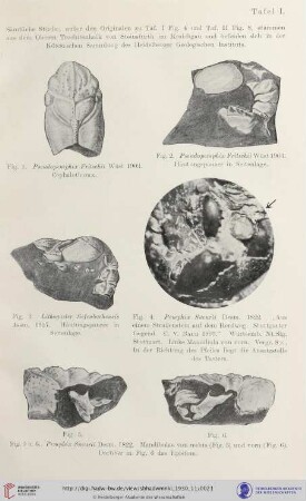 Tafel I-IV