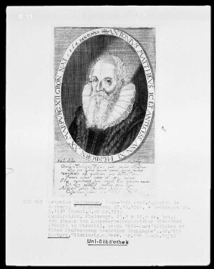 Antonius Matthäus (1564-1637), 1606-1624 Professor der Rechte in Marburg
