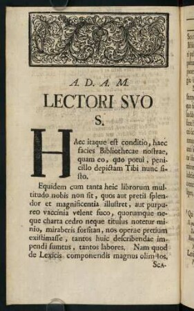6v-6v, Praefatio