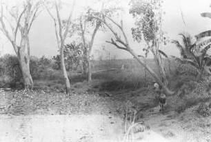 Tümpel mit Seerosen bei Mitumba : Landschaft mit einem Seerosen-Tümpel und zwei Männern die daran entlang gehen. Ein Expeditionsmitglied und ein Träger