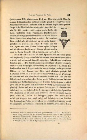 Separatabdrücke aus den Sitzungsberichten der kaiserl. Akademie der Wissenschaften in Wien-mathem.-naturw. Classe, 15