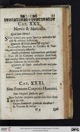 Cap. XXX. Nervis & Musculis