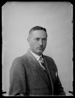 Schmitthenner, Paul, DNVP