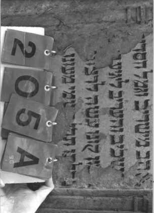 Grabstein 205 (Index: 99786014) Maße HxBxT: 162x63x23 cm Symbolik: Levitenkanne: Grabstein 205A
